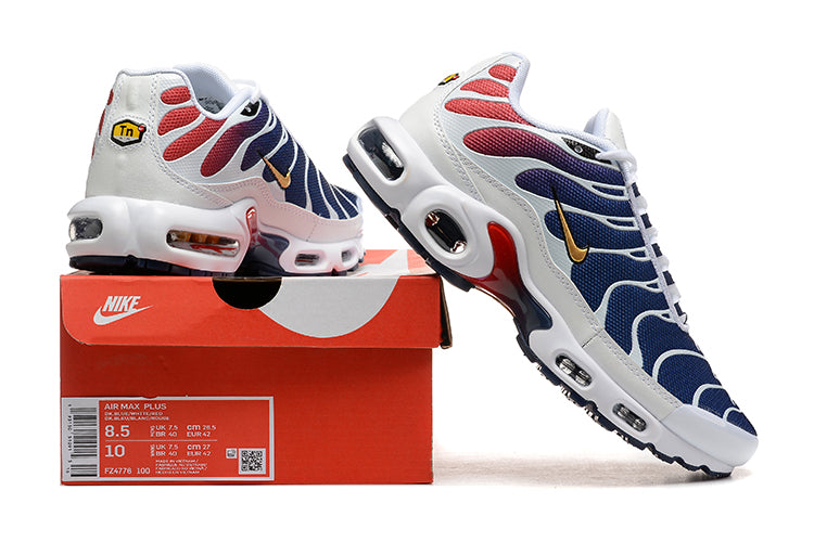Air Max Plus Tn 1 “Psg”(Pronta Entrega)